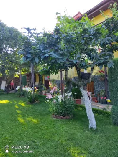 Къща за гости Релакс Сопот