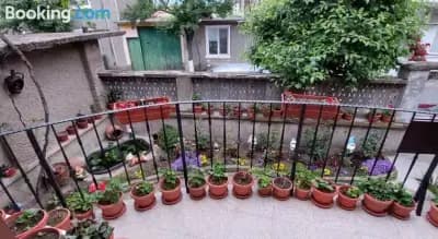 Guest House Kukera