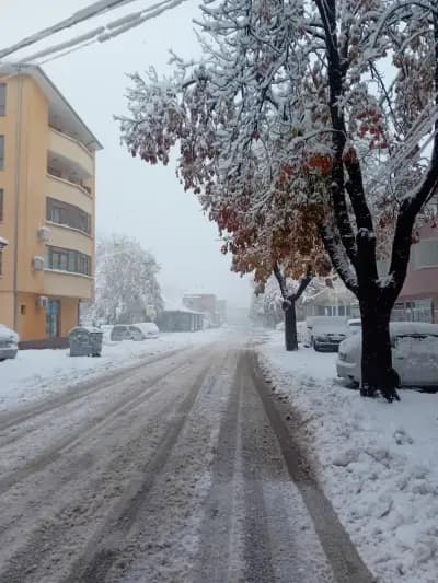 Ротана Търговище