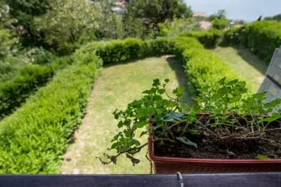 Guest Villas Ecopolis Glavatartsi