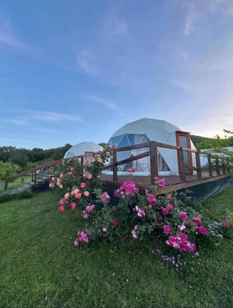 Aliento glamping