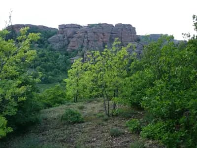 КЪЩА ЗА ГОСТИ И ВИЛА "МАРКАШНИЦА"