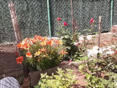 "Ковачки" І Къща за гости І Вила І Стаи за гости І Белоградчик