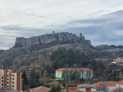 Невена