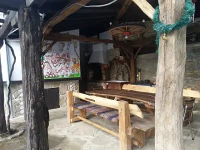 Къщата с лозата