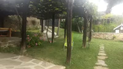 Къщата с лозата