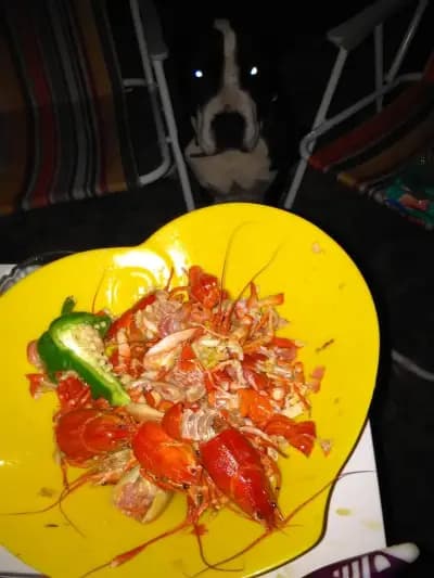 РУСКИ ЦАР