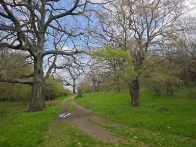 Козаревата къща