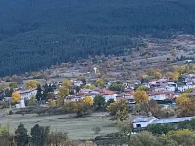Павелско Зареница 18