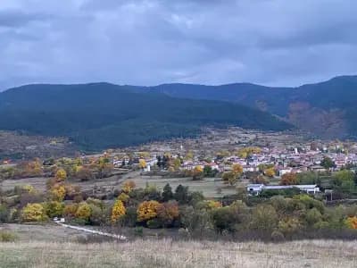 Павелско Зареница 18