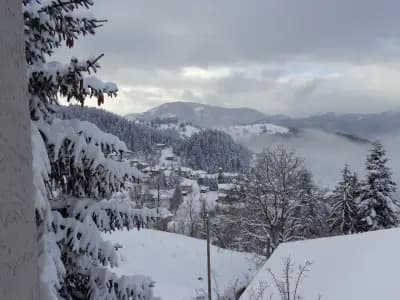 Къща за гости Панорама