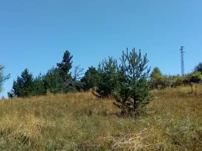 Къща за гости Country House | Хотел | Семеен хотел | Вила | Курортен комплекс