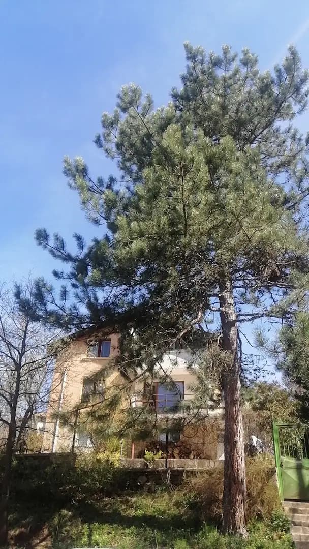 При елите