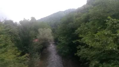 Дъскот