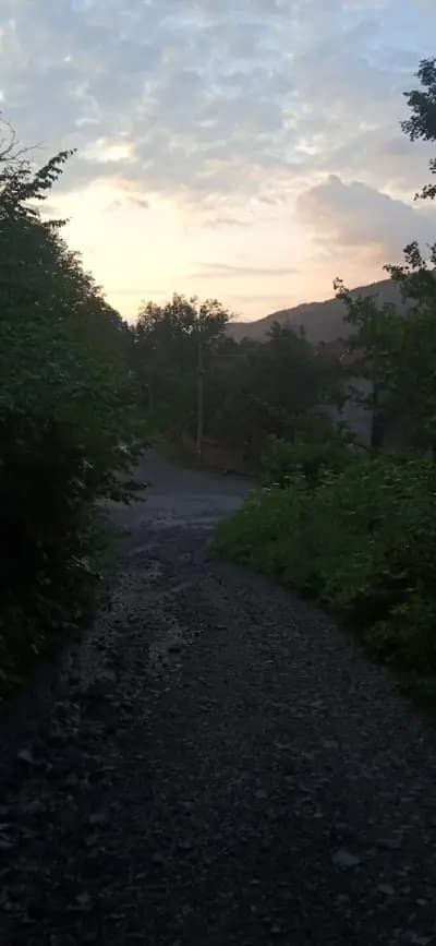 Къща За Гости "Насо Трепача"