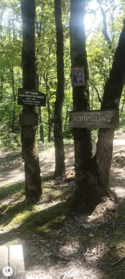 Небесните Пасбища
