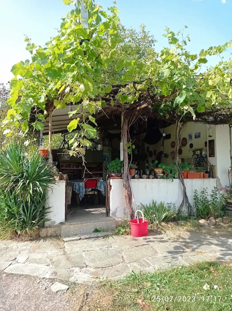 Vacation Home Selo Boykovets