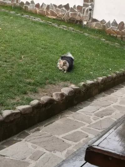 Къща за гости Диляна