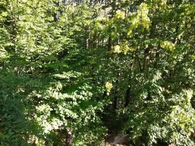 ВИЛА ДИАМАНТ