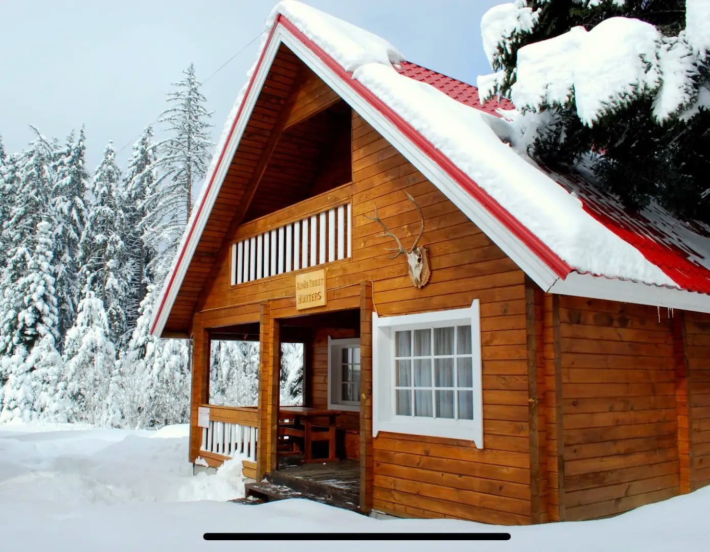 Alpine ski chalet Borovets with sauna