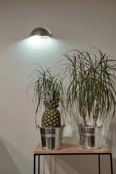 Funky Flat