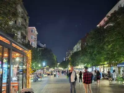 Vitosha Blvd - Family and Friends Apart