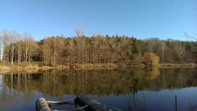 Комплекс Липите