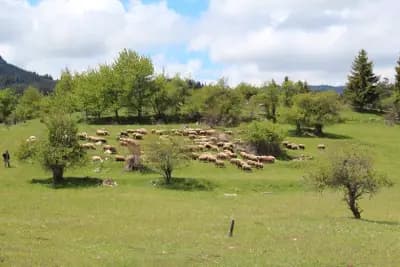 Eco Farm Gela & hotel Aida