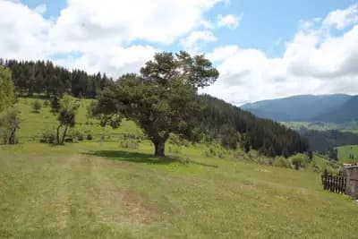 Eco Farm Gela & hotel Aida