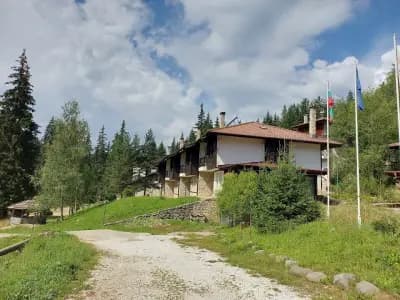 Комплекс Борики