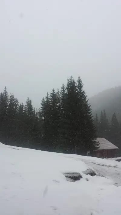 Комплекс Борики