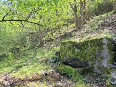Комплекс Дамбалъ