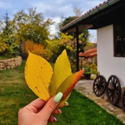 Къща за гости Ножери