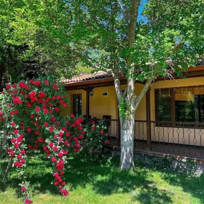 Exotic Guest House