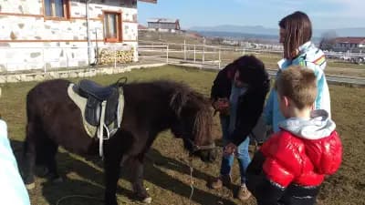Guesthouse Petrovi Bansko