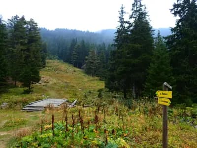 Хижа Скакавица