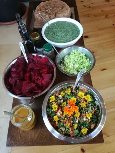 Vegetarium Guest Home