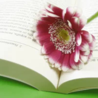 Книжарница Деал