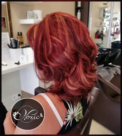 Noxic Beauty