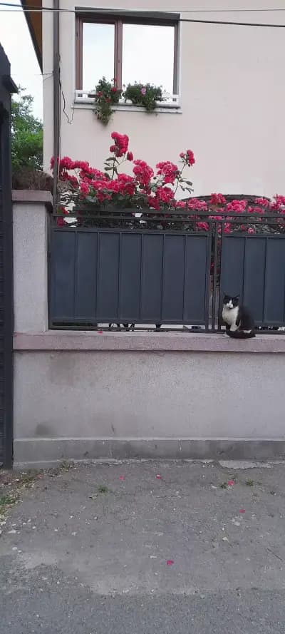 Салон за красота Sash Aesthetic