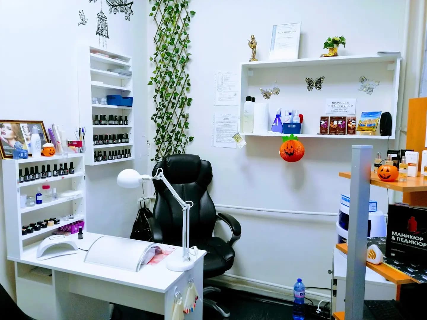 VeGa Studio