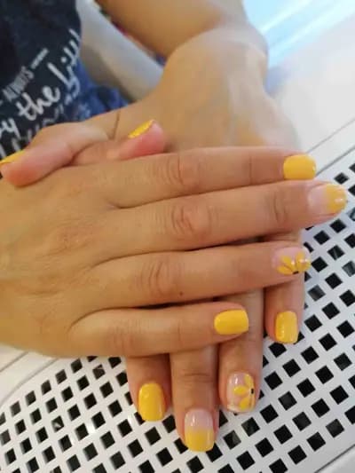 Соларно студио "Sunny day"