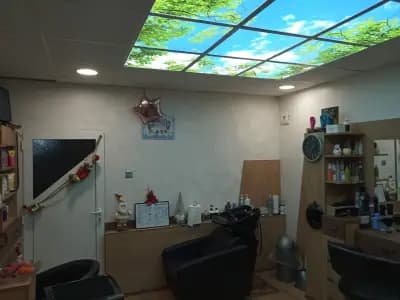 Студио Лики