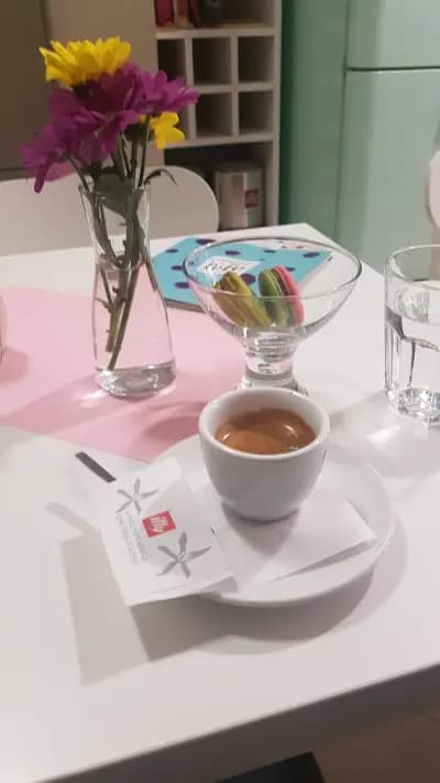 Chez Fefe macarons & café