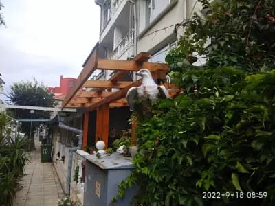 Пекарна & Кафе "ЗИА" / Bakery & Cafe "ZIA"