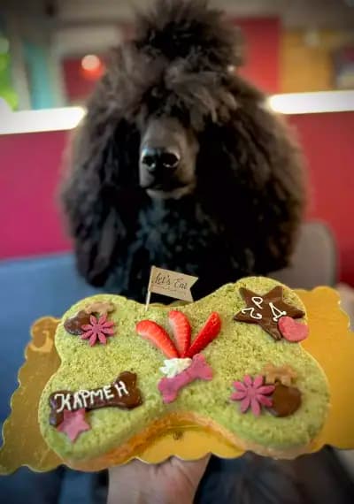 Good dog кучешка пекарна