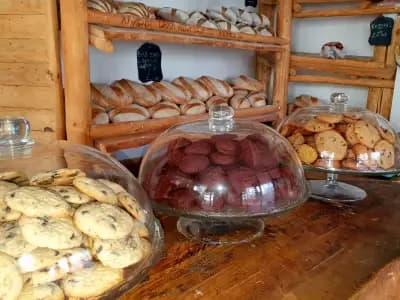 Banski Samun Artisan Bakery І Майстор пекар І Пекарна І Домашен хляб с квас