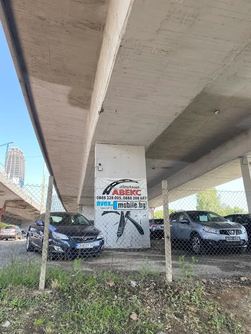 Авекс-Ри