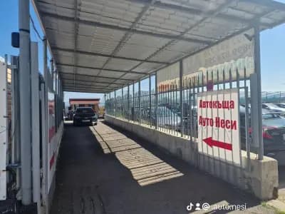 Ауто Неси