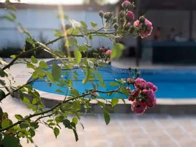 Galeria In The Garden